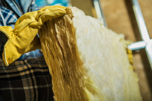 Best Commercial Insulation Contractor  in Lake Delton, WI