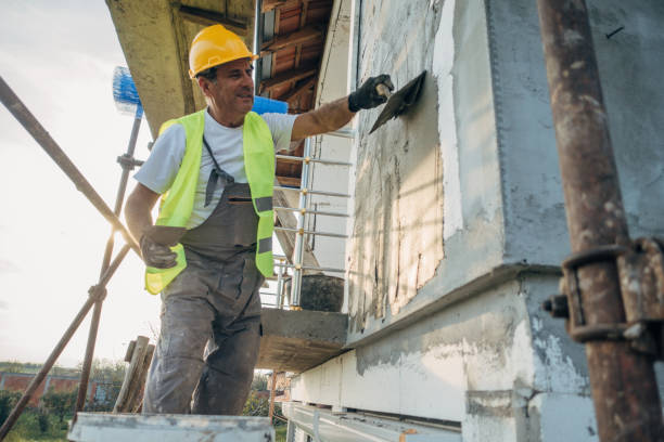 Best Insulation Removal  in Lake Delton, WI