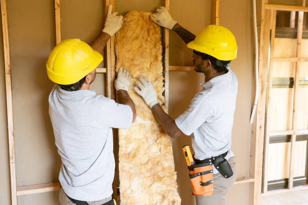 Best Spray Foam Insulation  in Lake Delton, WI