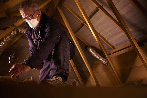 Best Affordable Insulation Services  in Lake Delton, WI